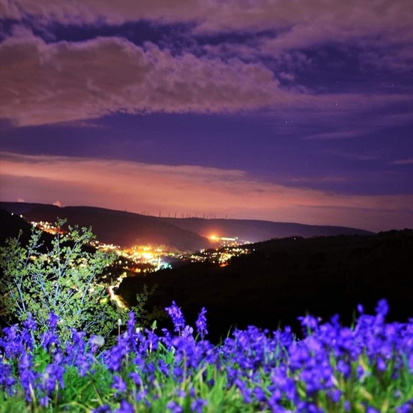 Meet your Posher, Mary - Picture 4 of 5